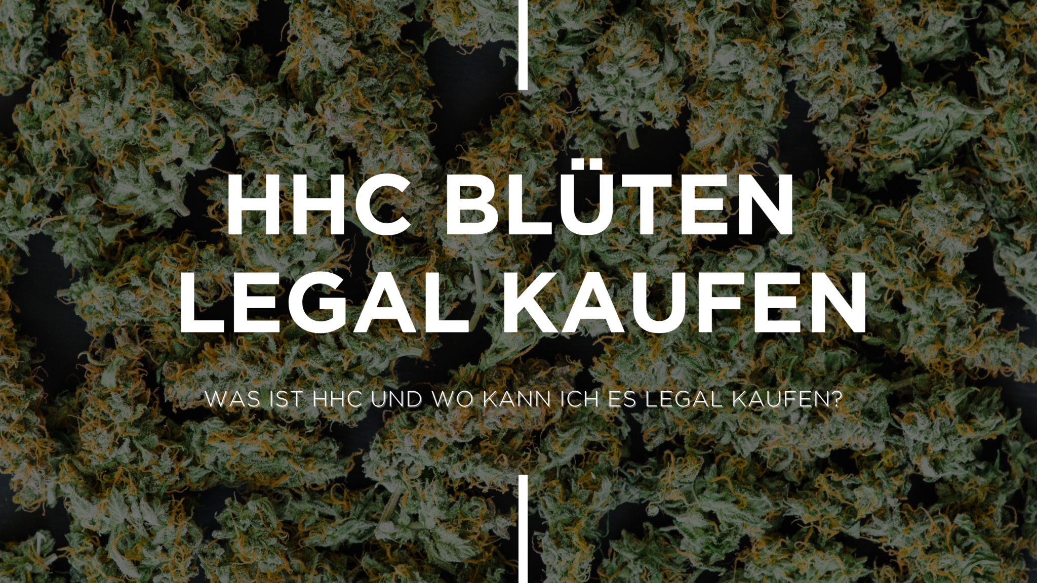 HHC Blten Legal Kaufen kleine knospe HHC Blten Legal Kaufen kleine knospe