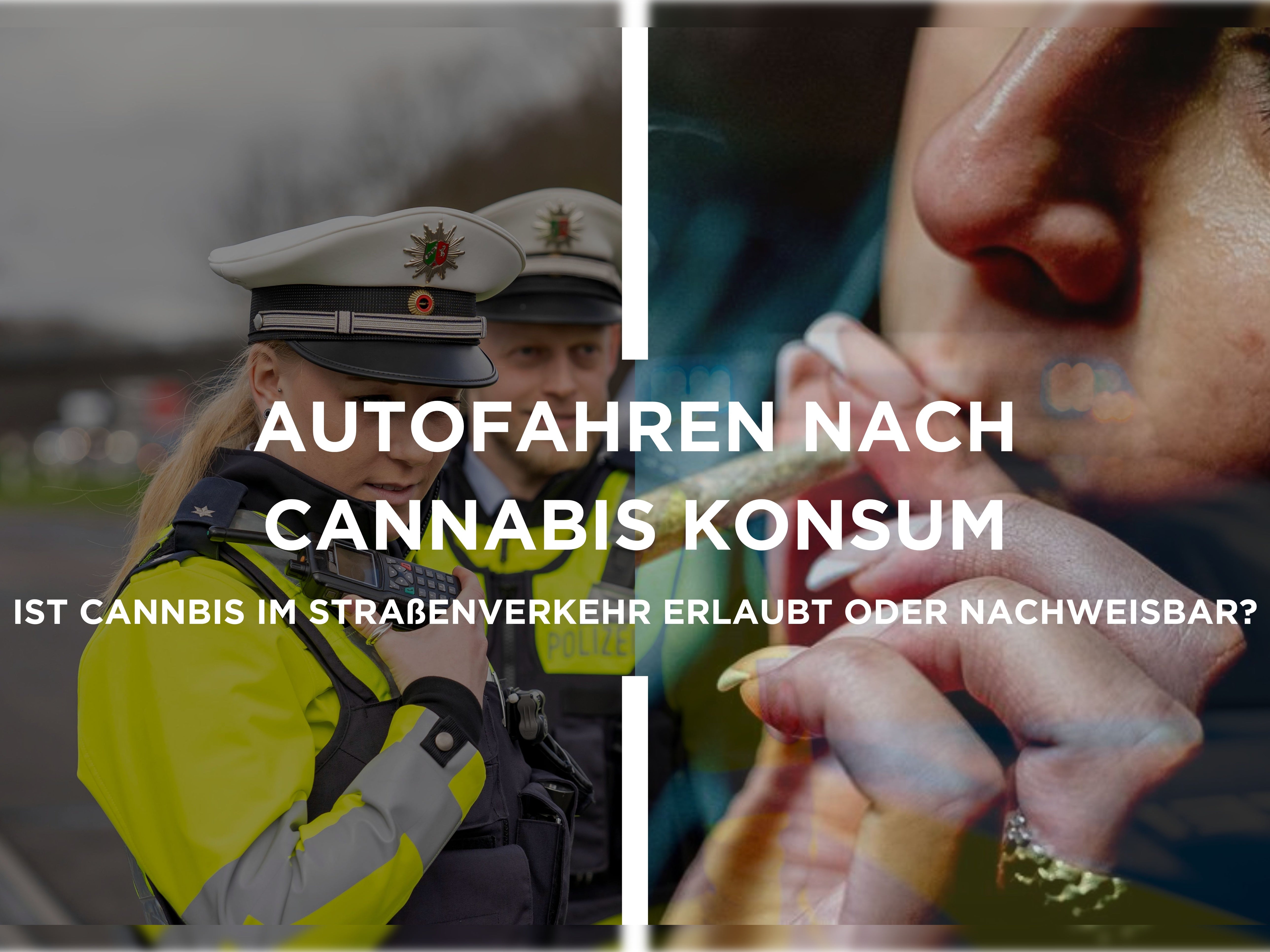 Autofahren Nach HHC Konsum: Ist HHC Im Straenverkehr Erlaubt Oder Nac kleine knospe Autofahren Nach HHC Konsum: Ist HHC Im Straenverkehr Erlaubt Oder Nac kleine knospe