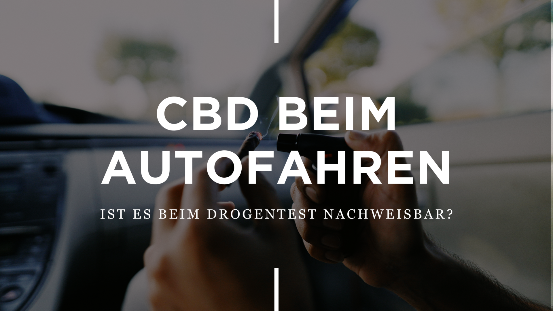 CBD Beim Auto Fahren: Ist Es Beim Drogentest Nachweisbar? kleine knospe CBD Beim Auto Fahren: Ist Es Beim Drogentest Nachweisbar? kleine knospe