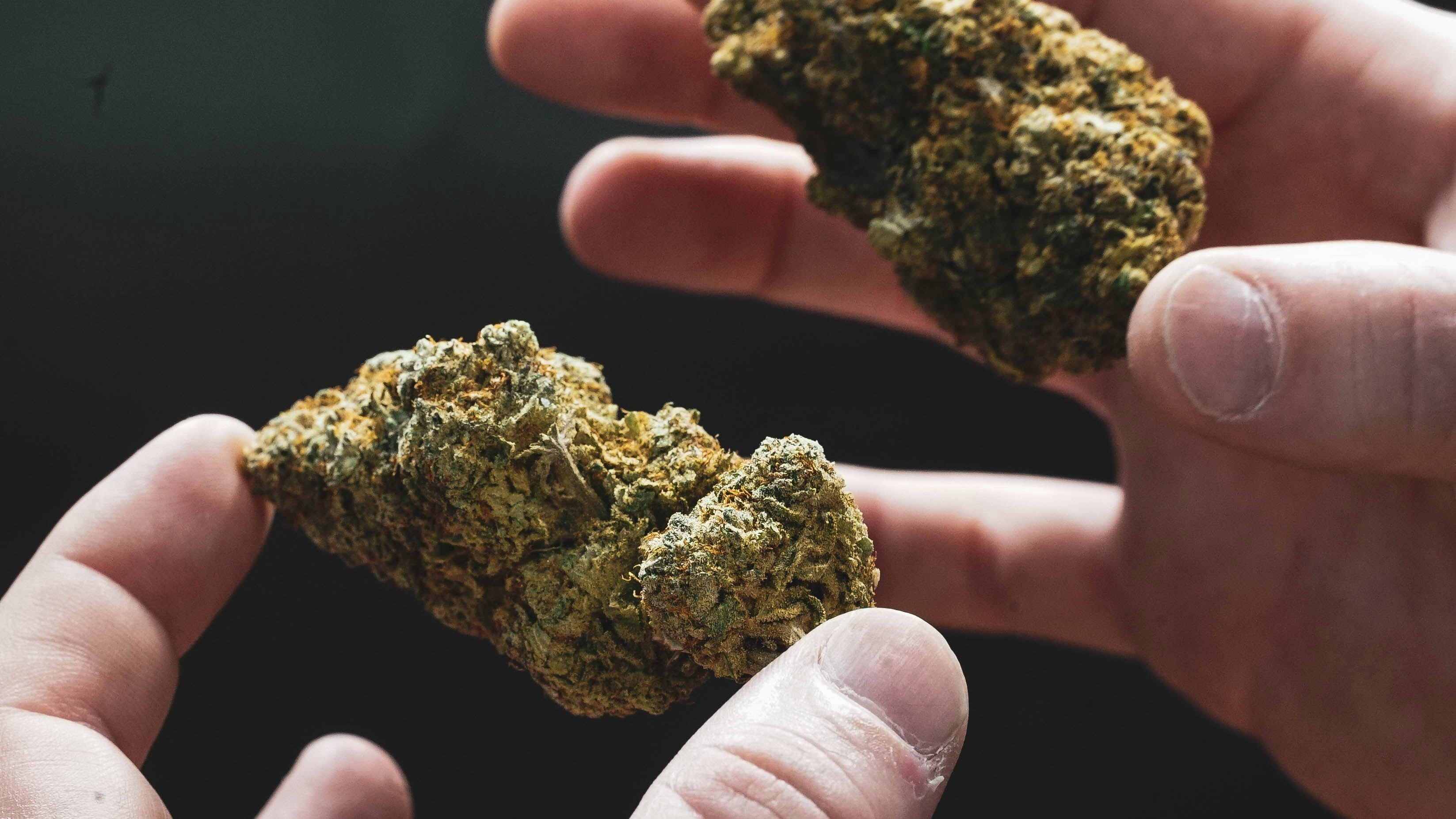 THV-N10: Innovativer legaler Cannabis-Wirkstoff