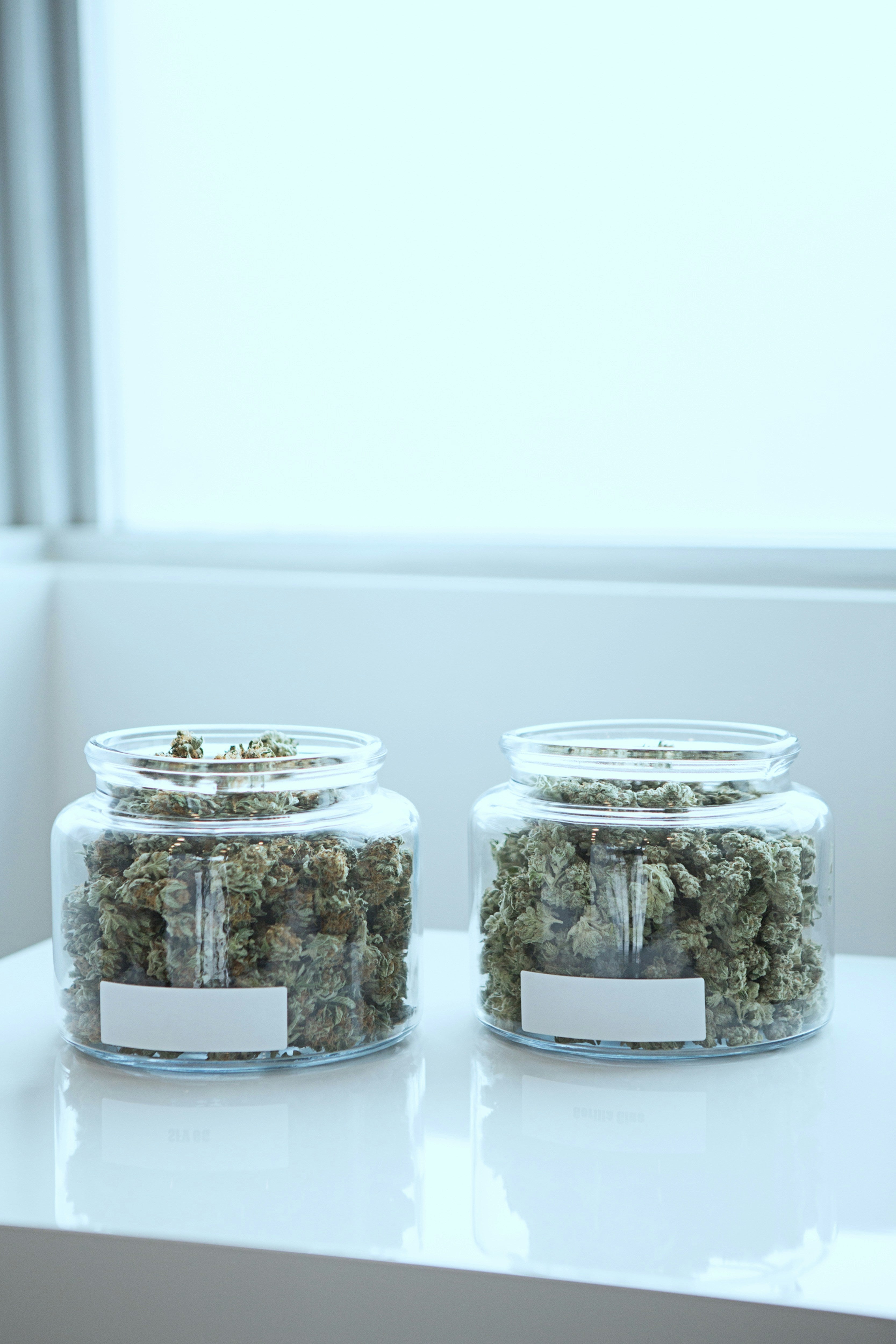 Perfektes Cannabis Curing: Schritt-für-Schritt Anleitung