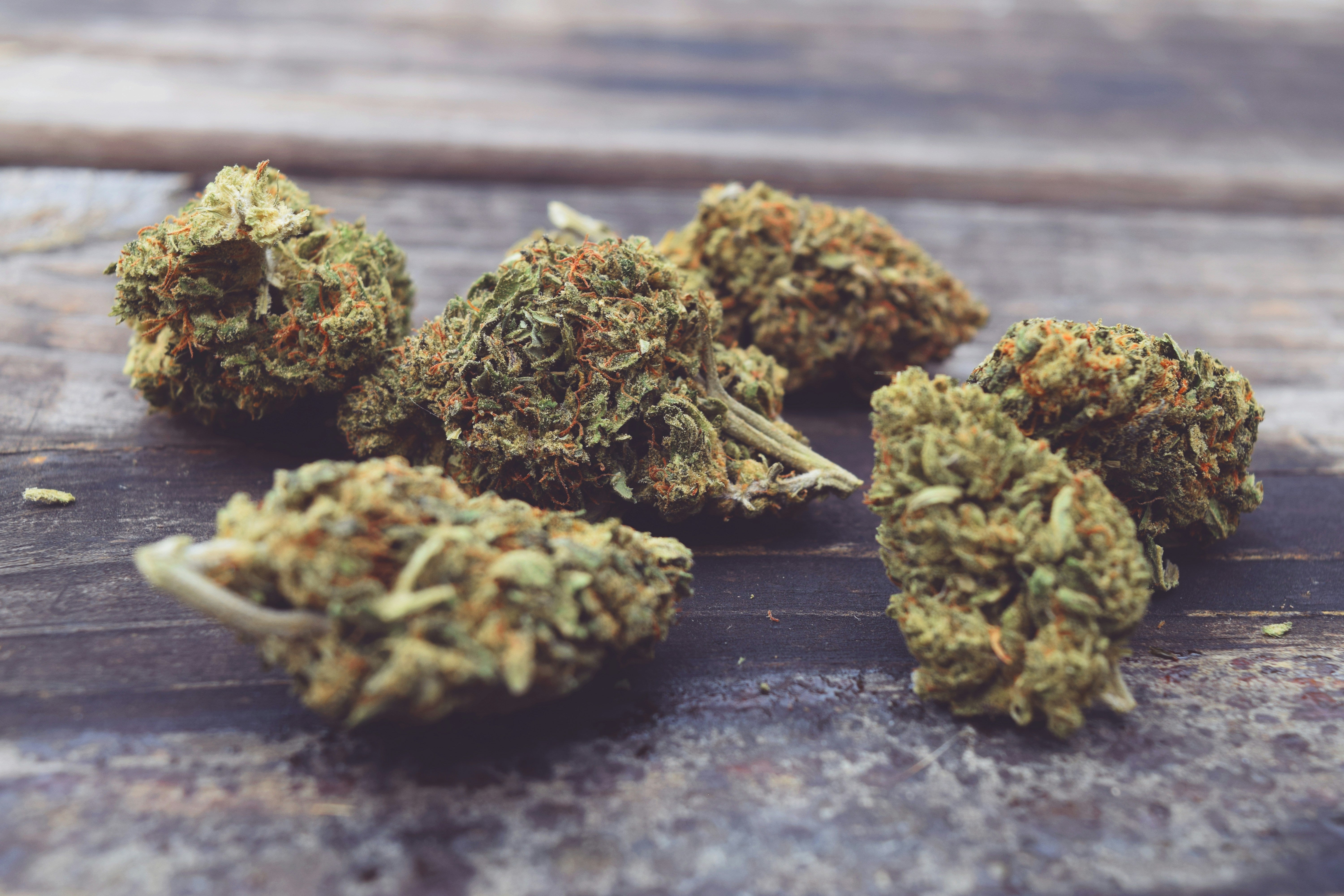10-OH+ Wirkung, Unterschiede und Vergleich zu THC – kleine knospe
