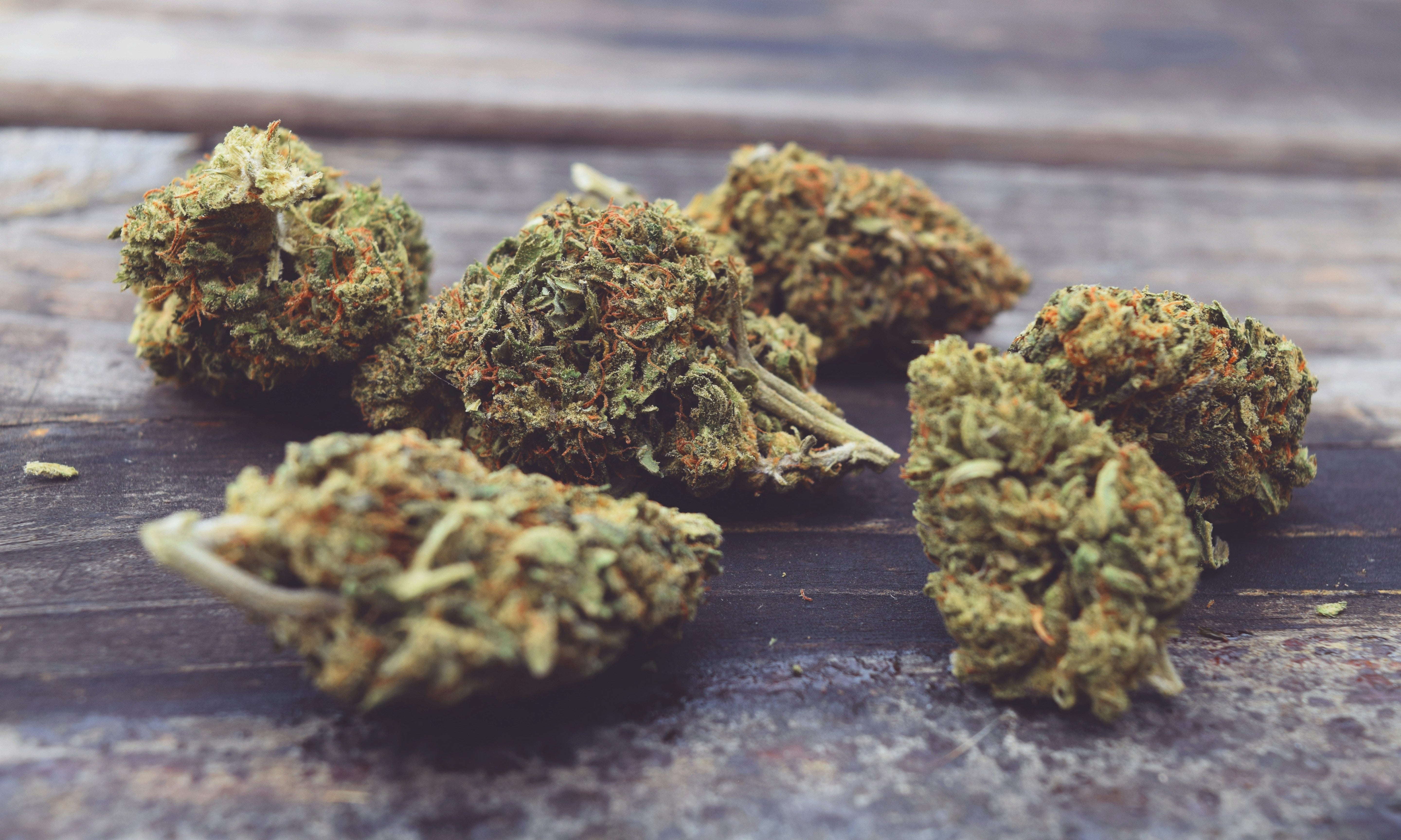 10-OH+ Wirkung, Unterschiede und Vergleich zu THC