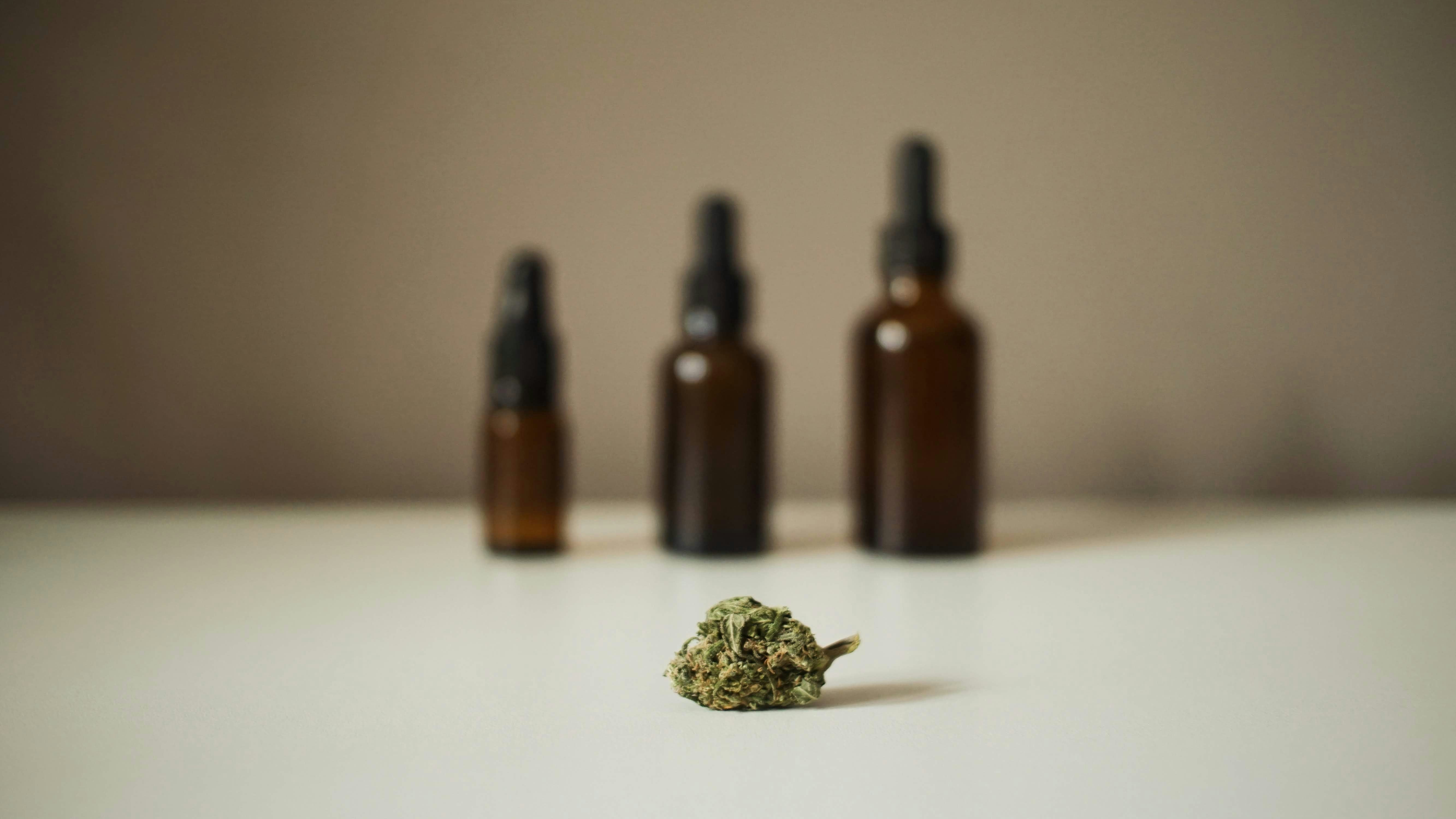 Hochwertige Cannabis Produkte online kaufen bei kleine knospe