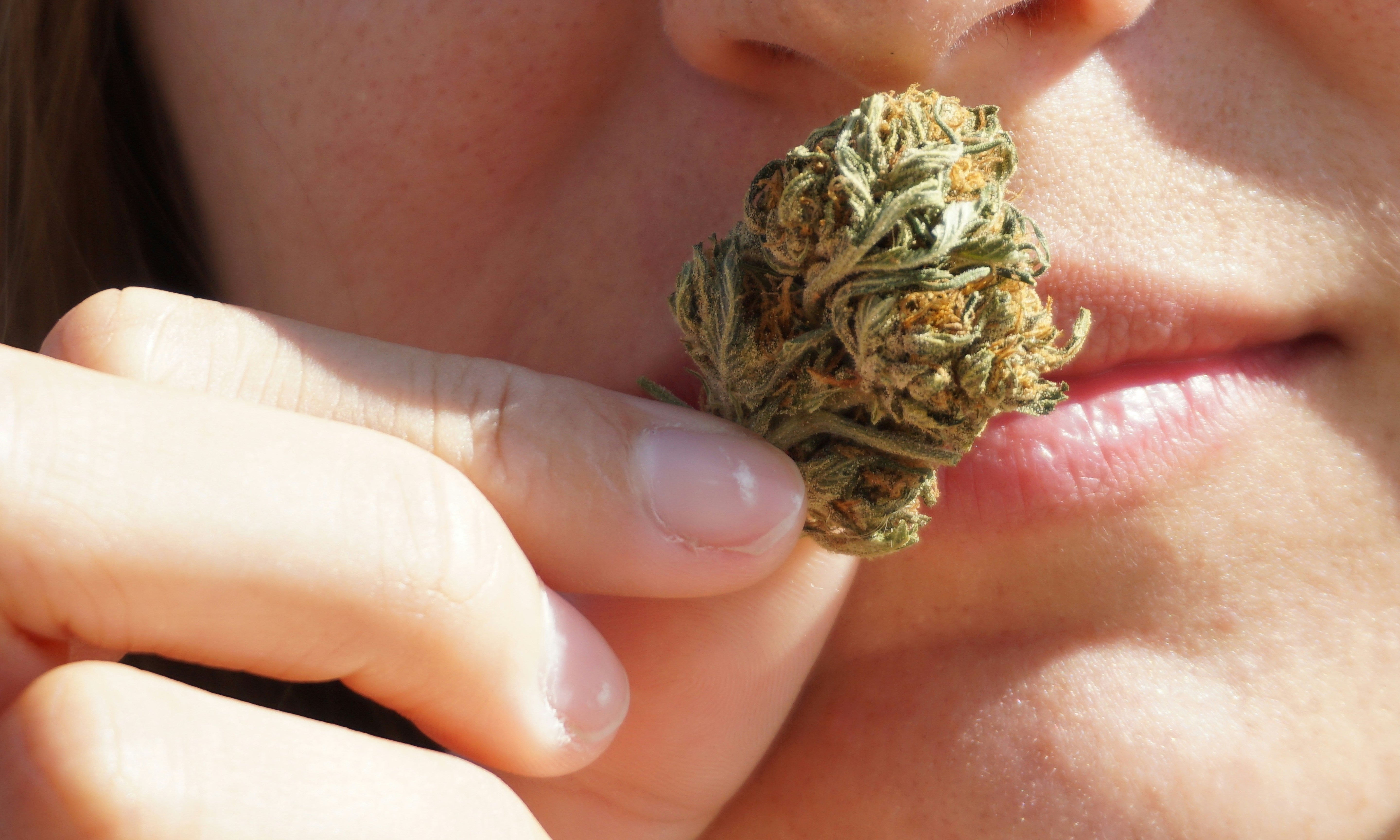 Alles über THV-N10: Wirkung, Anwendung und Legalität