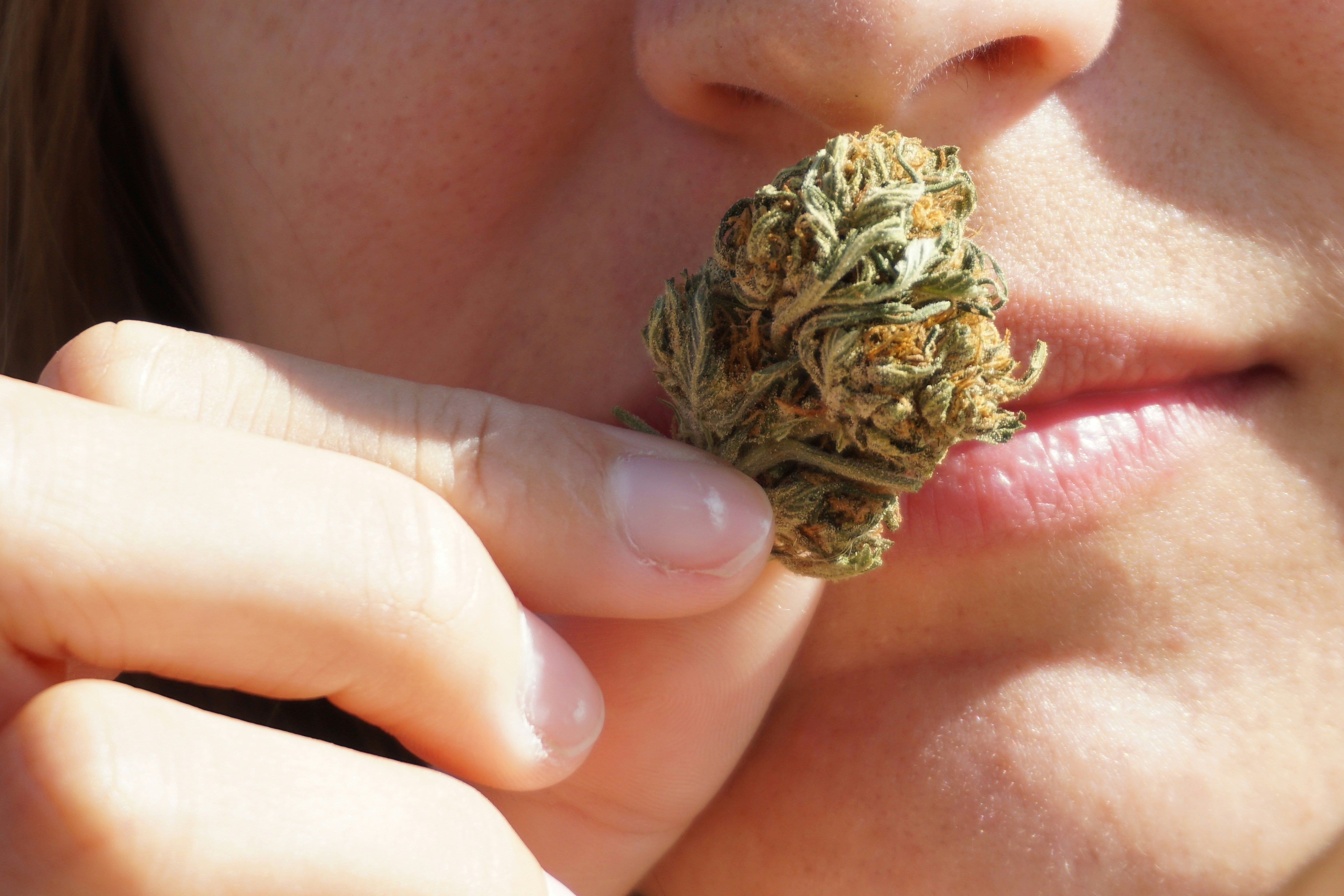 Alles über THV-N10: Wirkung, Anwendung und Legalität