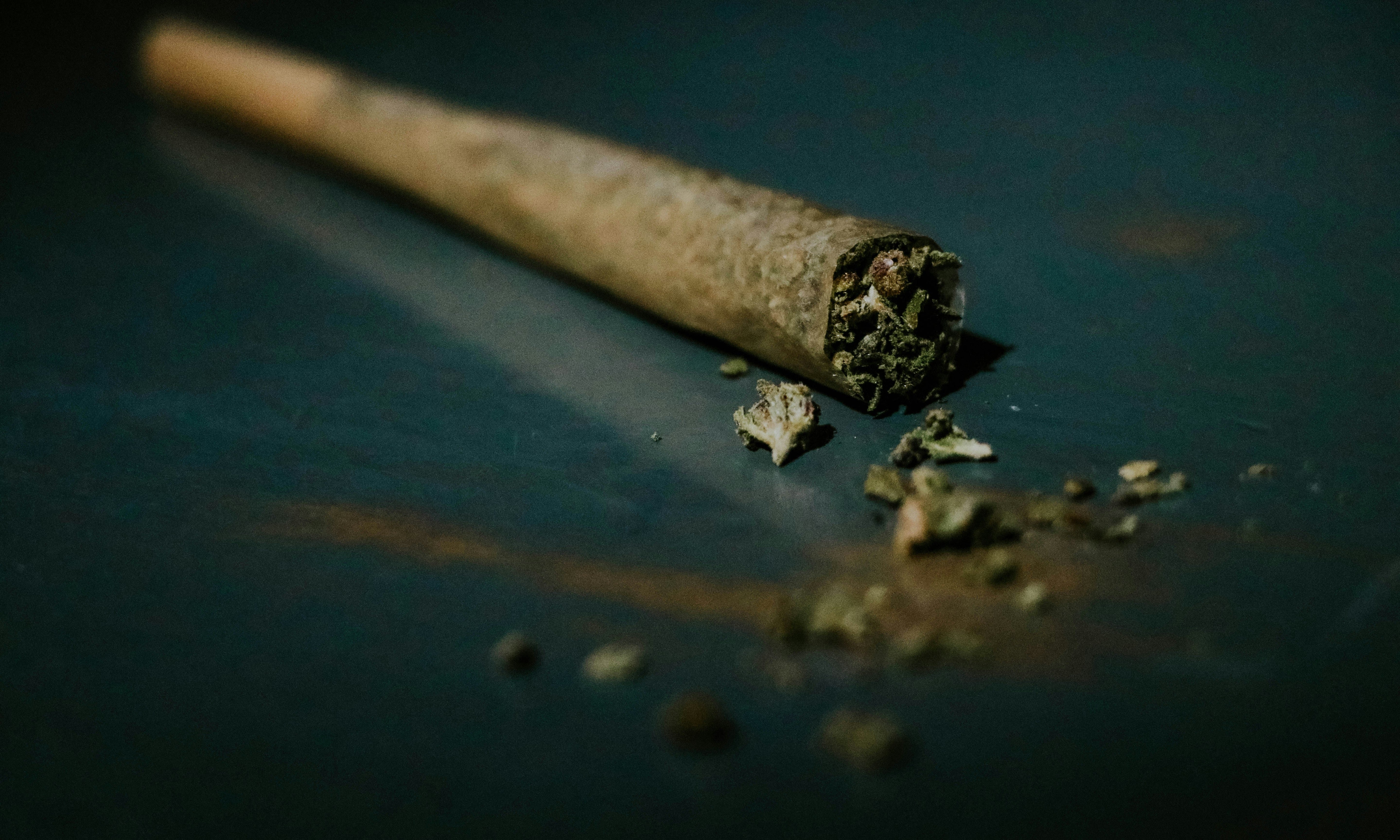 Premium Cannabis Produkte online kaufen, top Anbieter für Blüten