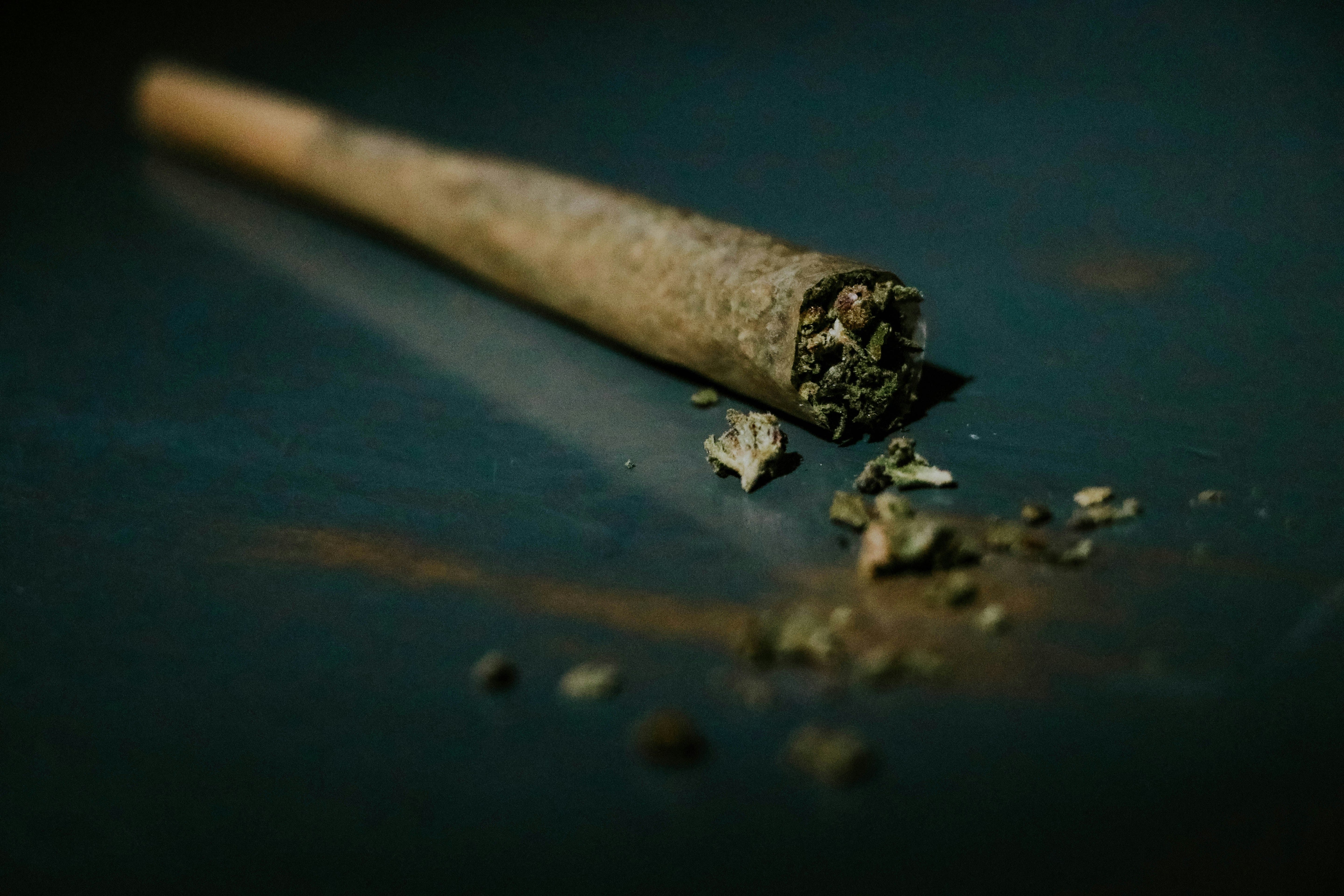 Premium Cannabis Produkte online kaufen, top Anbieter für Blüten