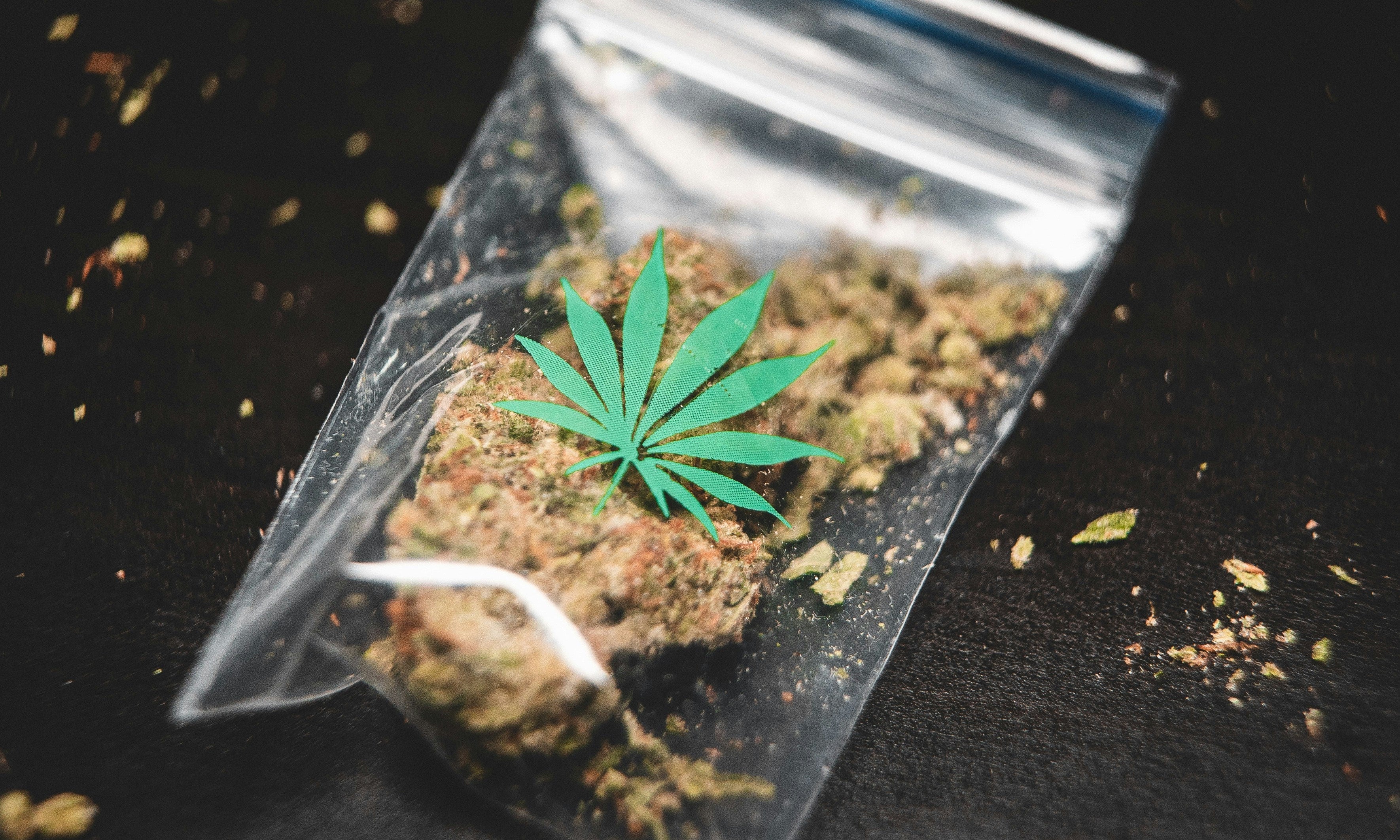 Cannabis Produkte online kaufen in Deutschland kleine knospe