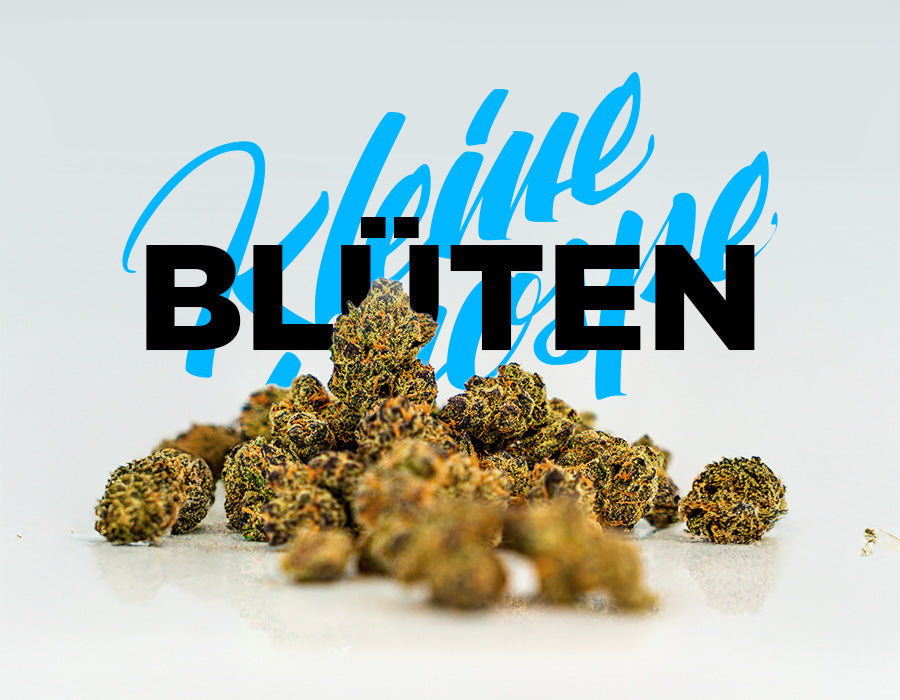 kleine-knospe-cannabis-blueten