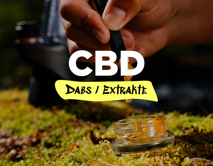 CBD Dabs / Extrakte