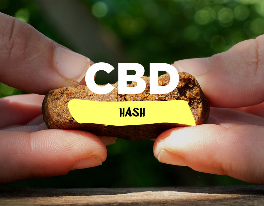 CBD Hash