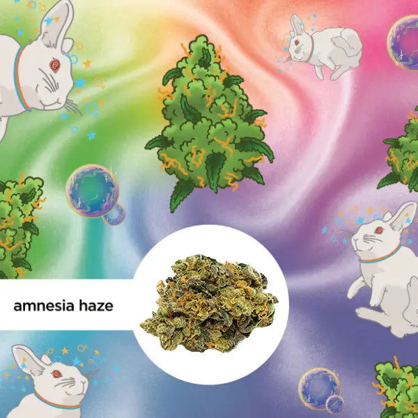 Dieses farbenfrohe Bild zeigt das CBD-Produkt 'Amnesia Haze' von kleine knospe, umgeben von Cartoon-Kaninchen und fröhlichen Blasen auf einem regenbogenfarbenen Hintergrund.