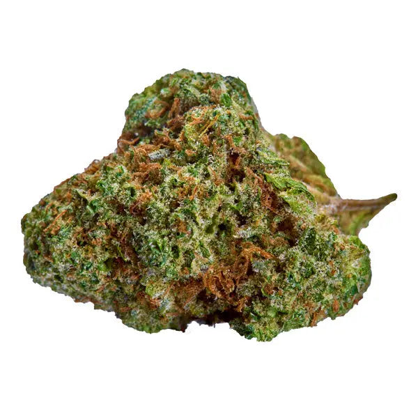 Dieses Bild zeigt eine kompakte Knospe von "kleine knospe", einem hochwertigen CBD-Cannabis-Produkt, das durch seine intensive grüne Farbe besticht.