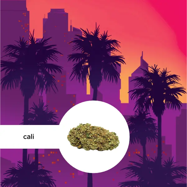 Dieses Bild zeigt ein CBD-Produkt namens "Cali" von kleine knospe, vor einer stilisierten Skyline mit Palmen, das einen Hauch von Kalifornien verkörpert.