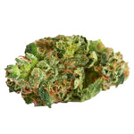 Diese Nahaufnahme eines kompakten, harzigen CBD-Blütenstands zeigt die leuchtend grünen und orangefarbenen Trichome des Cannabis-Produkts von 'kleine knospe'.