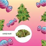 Das Bild zeigt eine Verpackungsgestaltung für das CBD-Produkt "Candy Kush" von kleine knospe, die mit bunten Süßigkeiten und Cannabisblättern dekoriert ist.