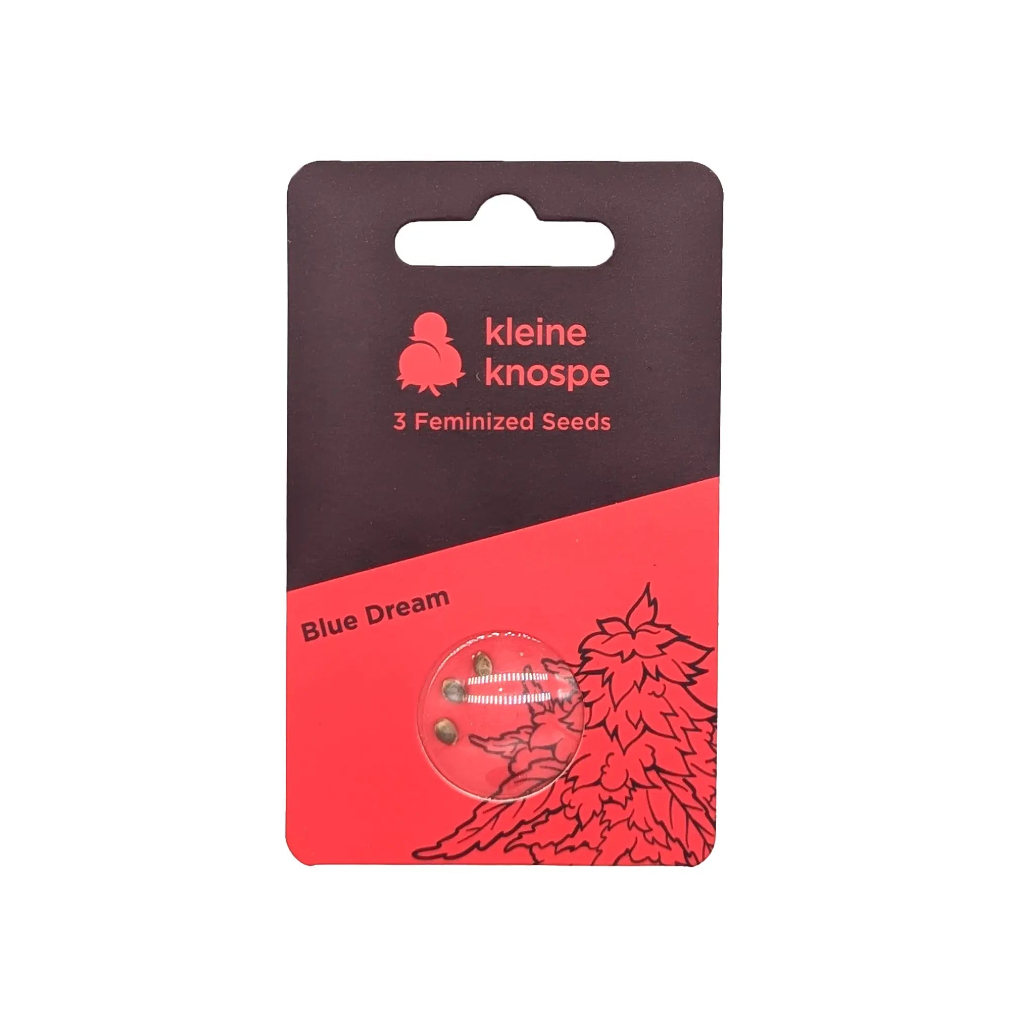 Die Verpackung von "kleine knospe" präsentiert feminisierte Cannabis-Samen der Sorte Blue Dream und betont das hochwertige CBD-Produkt.