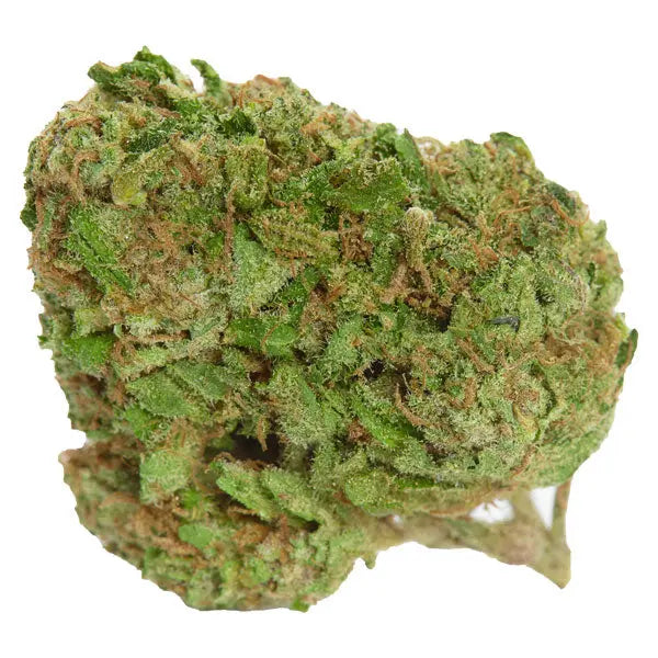 Diese Nahaufnahme zeigt ein dichtes CBD-Cannabis-Blütenprodukt von "kleine knospe", das durch seine kräftige grüne Farbe und dichte Struktur hervorsticht.