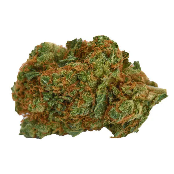 Dieses Bild zeigt eine dichte, grüne Cannabis-Blüte mit orangefarbenen Härchen, die ein CBD-Produkt von "kleine knospe" darstellt.