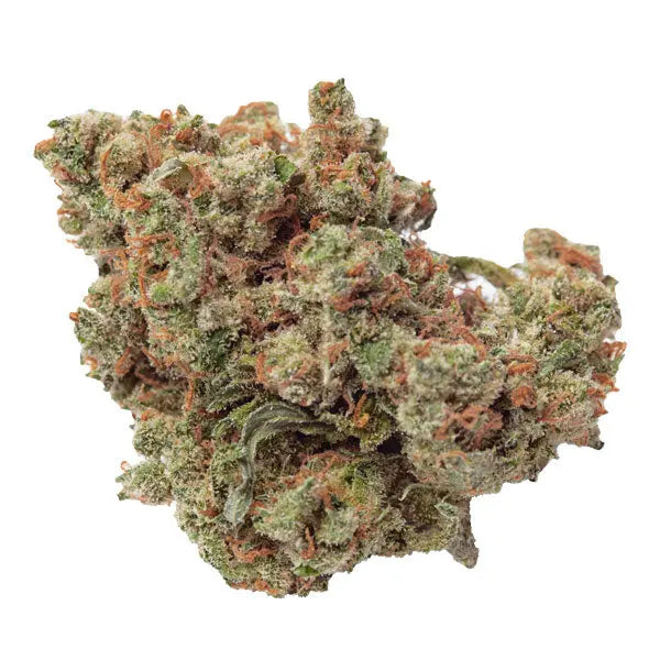 Dieses Bild zeigt ein hochwertiges CBD-Blütenprodukt von "kleine knospe", das die charakteristische Struktur und Farbvielfalt von Cannabis aufweist.